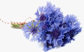 cornflowers.jpg